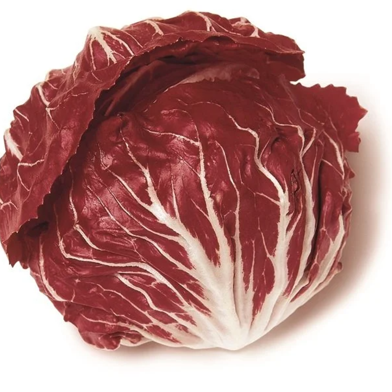 Polorosso (Radicchio)