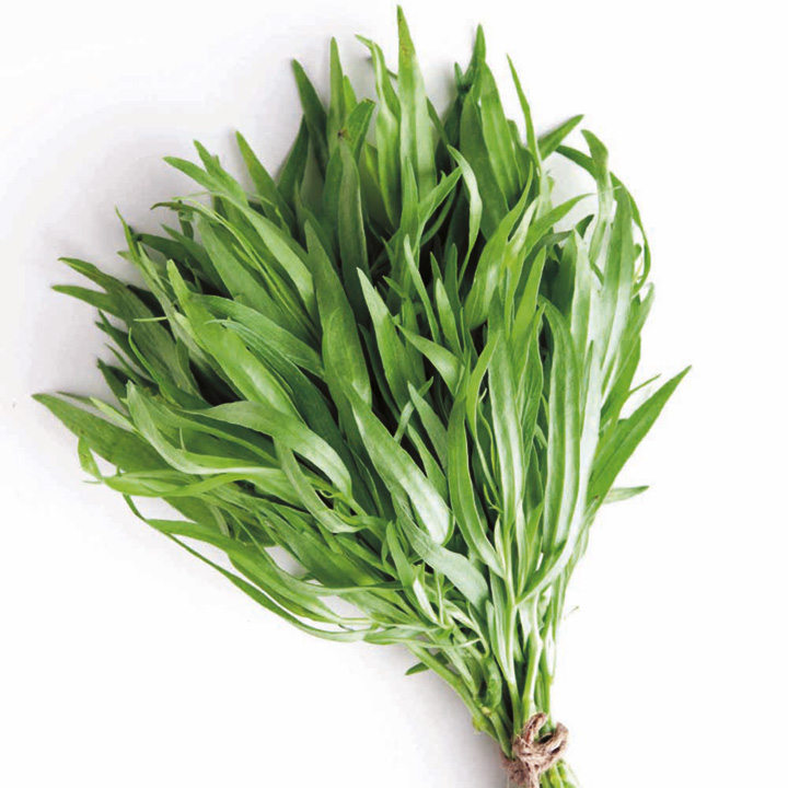 Tarhun (Tarragon)