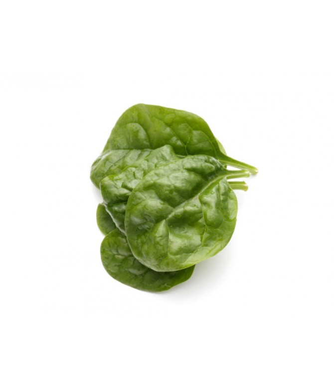 Ispanak Baby Yıkanmış