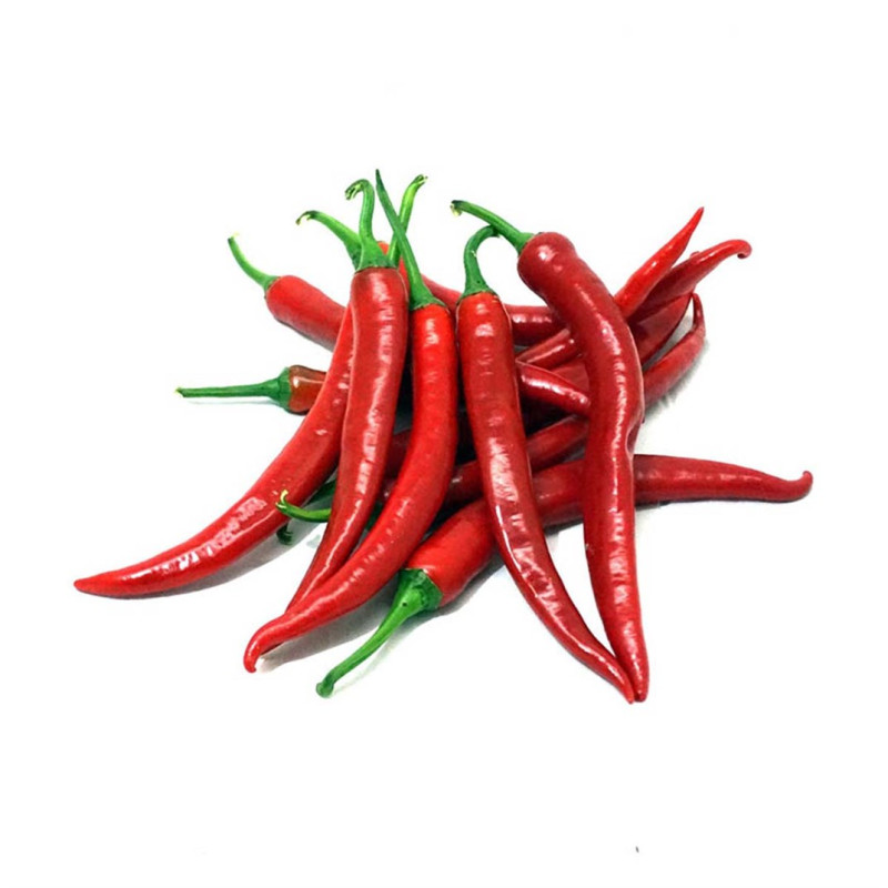 Lüks Chilli (Şili) Biber-Acı